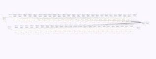 Разработка чат-бота