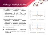 Оформление презентации