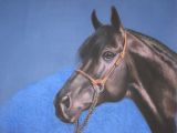 Рисунок пастелью