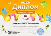 Дипломы учеников