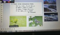 Работа с электронной доской. 