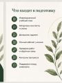 Презентация 
