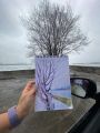 Работа смешанными техниками. Цветные карандаши , маркеры 