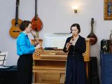 Детские интерактивные спектакли для слушателей любого возраста с игрой на различных духовых и шумовых ударных инструментов. Проведение мастер-классов.