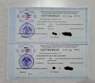 Каждый год сдаю ЦТ по физике и математике, чтобы быть в курсе всего происходящего. Результаты 2021 года.