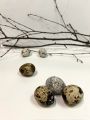 Предметная фотография 