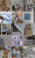 Концепция визуала инстаграм для лично-экспертного блога преподавателя по Китайскому языку
